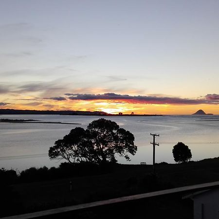 Ohiwa Harbour Studio Apartment Waiotahi Extérieur photo